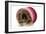 Pekingese Puppy in Studio in Pink Raffia Pot-null-Framed Photographic Print