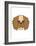 Pekingese-null-Framed Art Print