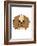 Pekingese-null-Framed Art Print