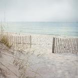 Beach Grasses-Pela Studio-Photographic Print