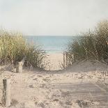 Beach Fence-Pela Studio-Photographic Print