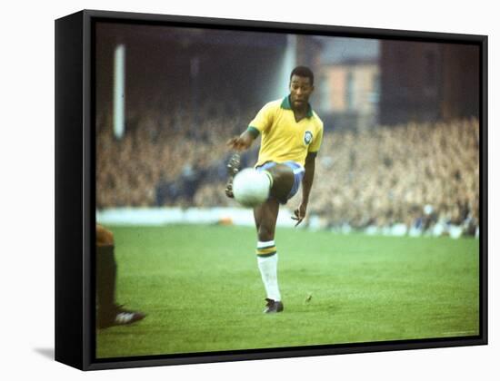 Pele-Art Rickerby-Framed Premier Image Canvas