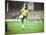 Pele-Art Rickerby-Mounted Premium Photographic Print