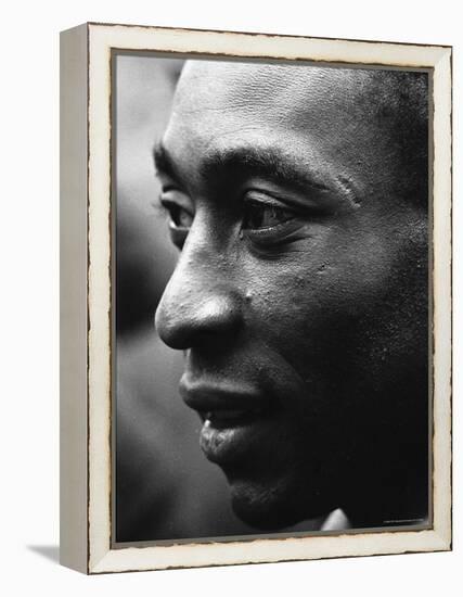 Pele-Art Rickerby-Framed Premier Image Canvas