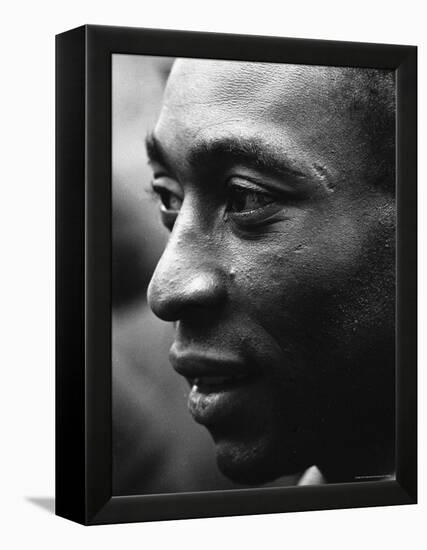 Pele-Art Rickerby-Framed Premier Image Canvas