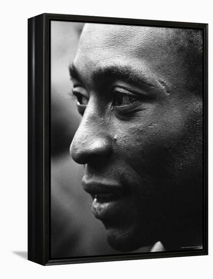 Pele-Art Rickerby-Framed Premier Image Canvas