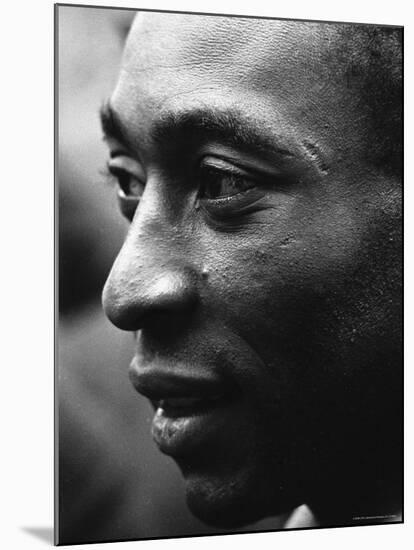 Pele-Art Rickerby-Mounted Premium Photographic Print