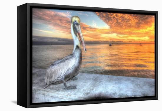 Pelican and Fire Sky-Robert Goldwitz-Framed Premier Image Canvas