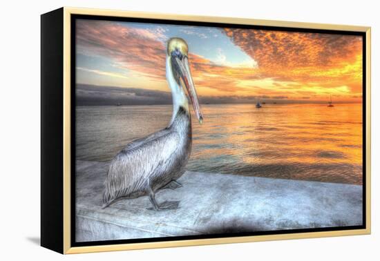 Pelican and Fire Sky-Robert Goldwitz-Framed Premier Image Canvas