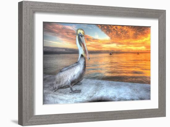 Pelican and Fire Sky-Robert Goldwitz-Framed Photographic Print