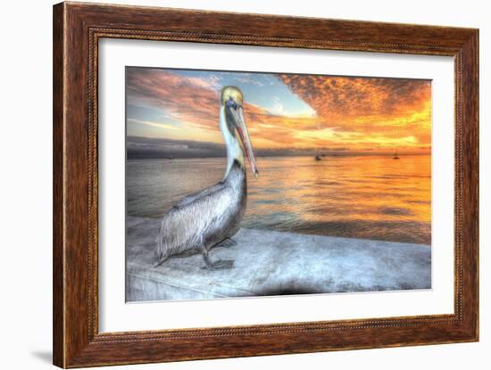 Pelican and Fire Sky-Robert Goldwitz-Framed Photographic Print