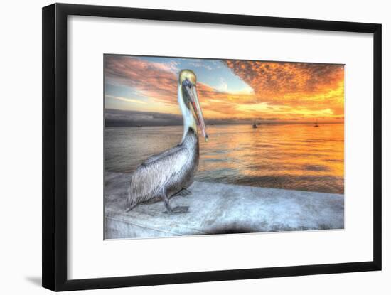 Pelican and Fire Sky-Robert Goldwitz-Framed Photographic Print