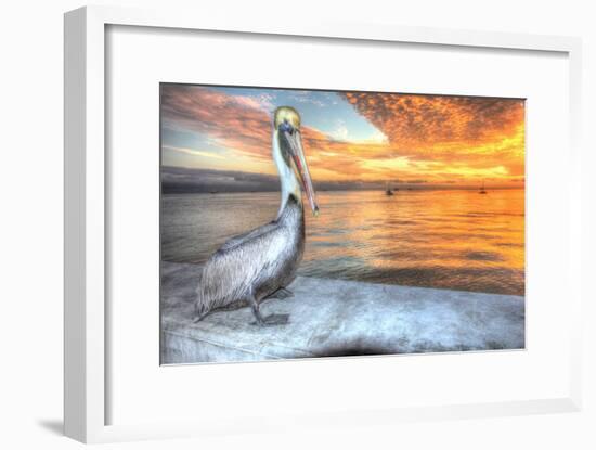 Pelican and Fire Sky-Robert Goldwitz-Framed Photographic Print