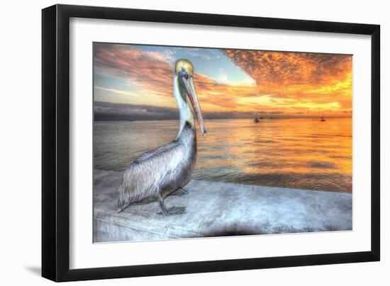 Pelican and Fire Sky-Robert Goldwitz-Framed Photographic Print