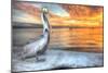 Pelican and Fire Sky-Robert Goldwitz-Mounted Photographic Print