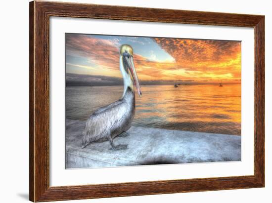 Pelican and Fire Sky-Robert Goldwitz-Framed Photographic Print