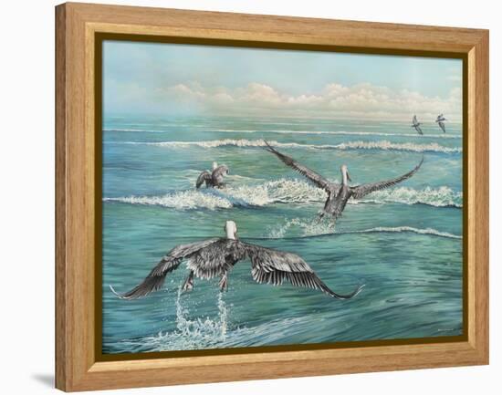 Pelican Beach-Bruce Nawrocke-Framed Stretched Canvas