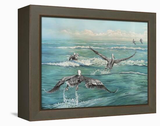 Pelican Beach-Bruce Nawrocke-Framed Stretched Canvas