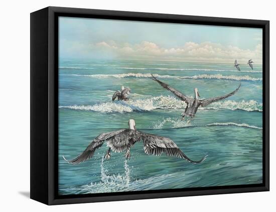 Pelican Beach-Bruce Nawrocke-Framed Stretched Canvas