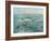 Pelican Beach-Bruce Nawrocke-Framed Art Print