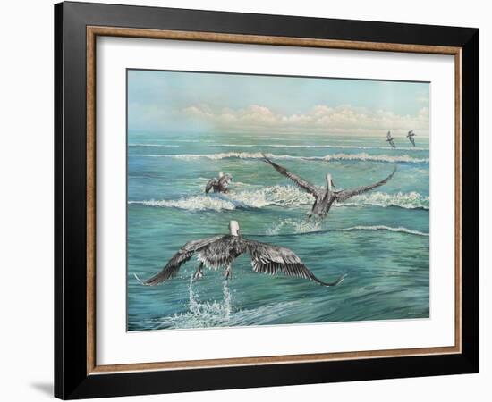 Pelican Beach-Bruce Nawrocke-Framed Art Print