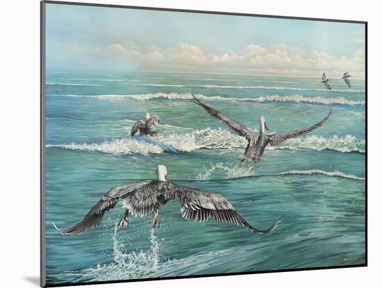 Pelican Beach-Bruce Nawrocke-Mounted Art Print