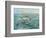 Pelican Beach-Bruce Nawrocke-Framed Premium Giclee Print