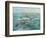 Pelican Beach-Bruce Nawrocke-Framed Premium Giclee Print