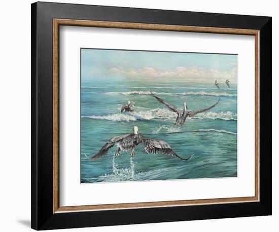 Pelican Beach-Bruce Nawrocke-Framed Premium Giclee Print