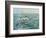 Pelican Beach-Bruce Nawrocke-Framed Premium Giclee Print