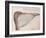 Pelican, C.1590-John White-Framed Giclee Print