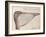 Pelican, C.1590-John White-Framed Giclee Print