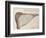 Pelican, C.1590-John White-Framed Giclee Print