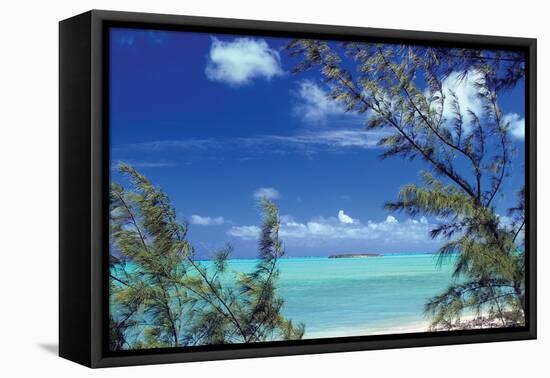 Pelican Cay-Larry Malvin-Framed Premier Image Canvas