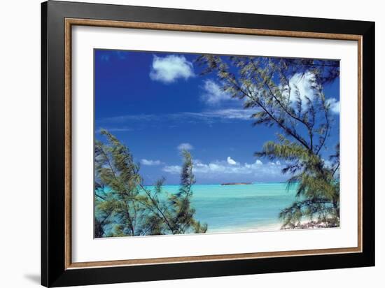 Pelican Cay-Larry Malvin-Framed Photographic Print