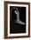 Pelican Eel-Sandra J. Raredon-Framed Art Print