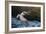 Pelican Flight-Chris Moyer-Framed Photographic Print