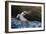 Pelican Flight-Chris Moyer-Framed Photographic Print