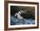 Pelican Flight-Chris Moyer-Framed Photographic Print