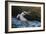 Pelican Flight-Chris Moyer-Framed Photographic Print