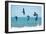 Pelican II-Bruce Nawrocke-Framed Photographic Print