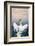 Pelican in Walvis Bay, Namibia, Africa-Panoramic Images-Framed Photographic Print
