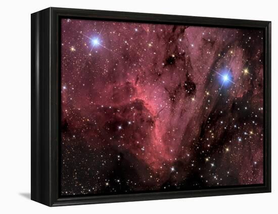 Pelican Nebula-Stocktrek Images-Framed Premier Image Canvas