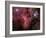 Pelican Nebula-Stocktrek Images-Framed Photographic Print