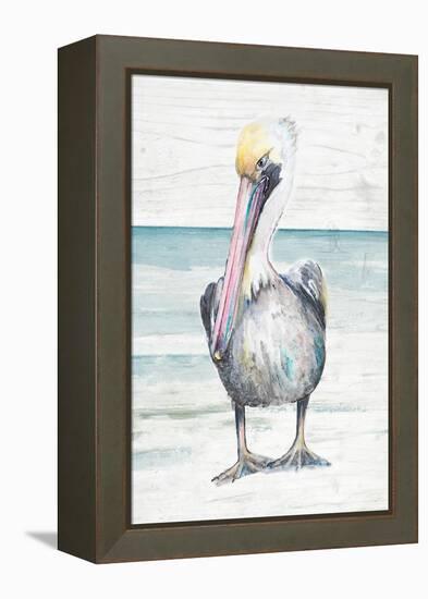 Pelican On The Shore I-Patricia Pinto-Framed Stretched Canvas