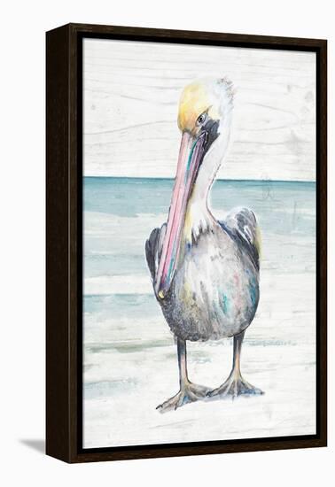 Pelican On The Shore I-Patricia Pinto-Framed Stretched Canvas