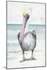 Pelican On The Shore I-Patricia Pinto-Mounted Art Print