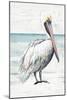 Pelican On The Shore II-Patricia Pinto-Mounted Art Print