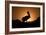 Pelican Silhouette I-Erin Berzel-Framed Photographic Print