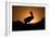 Pelican Silhouette I-Erin Berzel-Framed Photographic Print